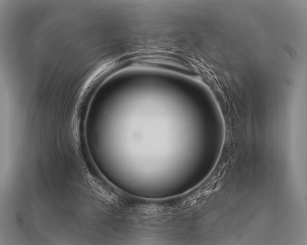 X0000112360197200908131503