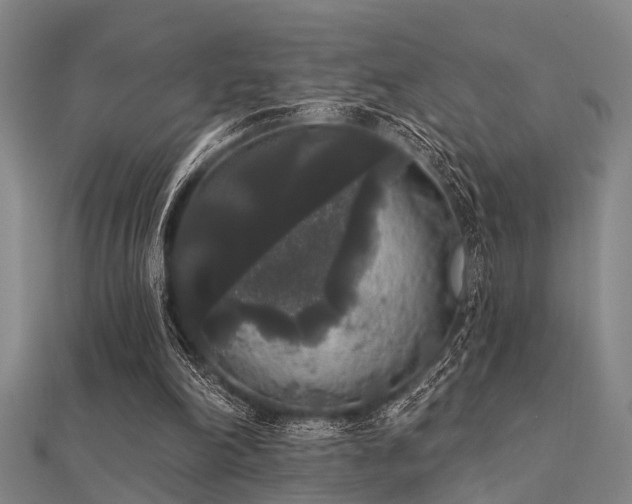 X0000112360198200908131503