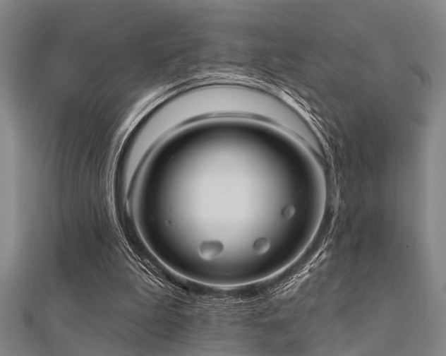 X0000112360199200908131503