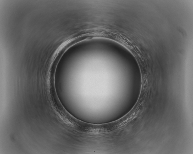 X0000112360200200908131503