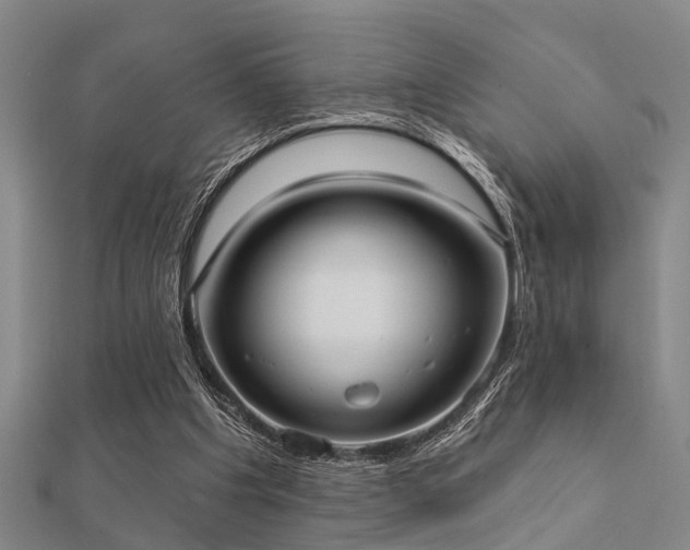 X0000112360201200908131503
