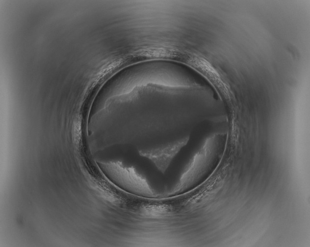 X0000112360202200908131503