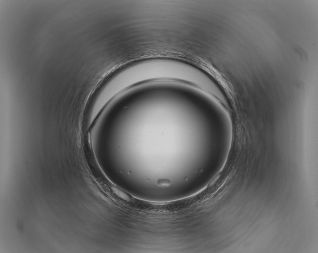 X0000112360203200908131503