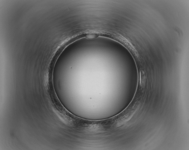X0000112360204200908131503