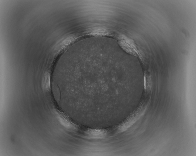 X0000112360205200908131503