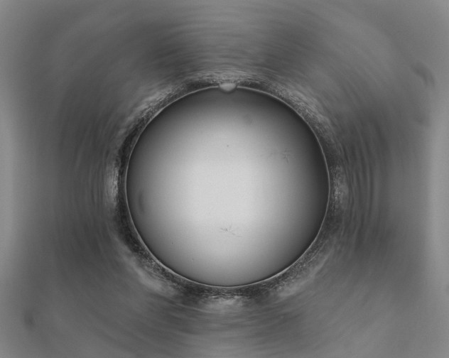 X0000112360206200908131503