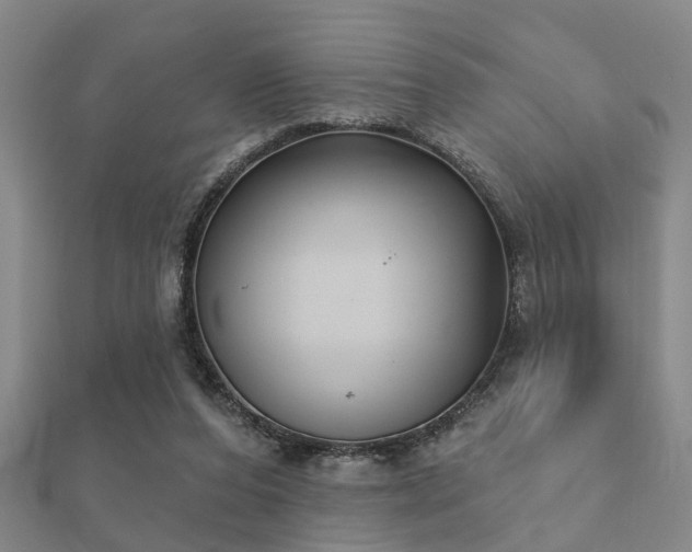 X0000112360208200908131503