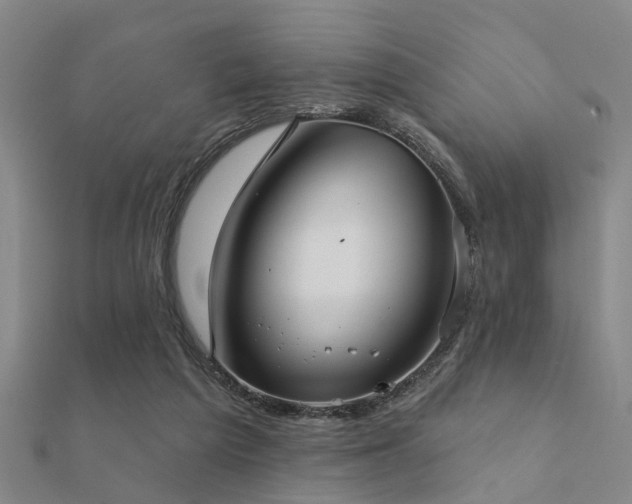 X0000112360209200908131503