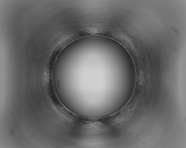 X0000112360210200908131503
