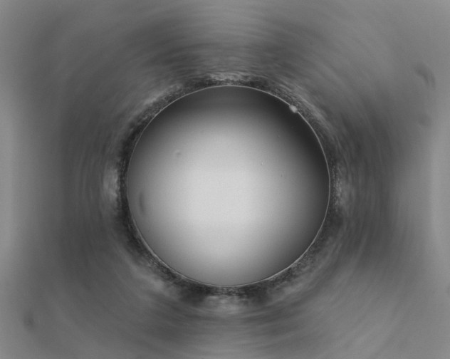 X0000112360211200908131503