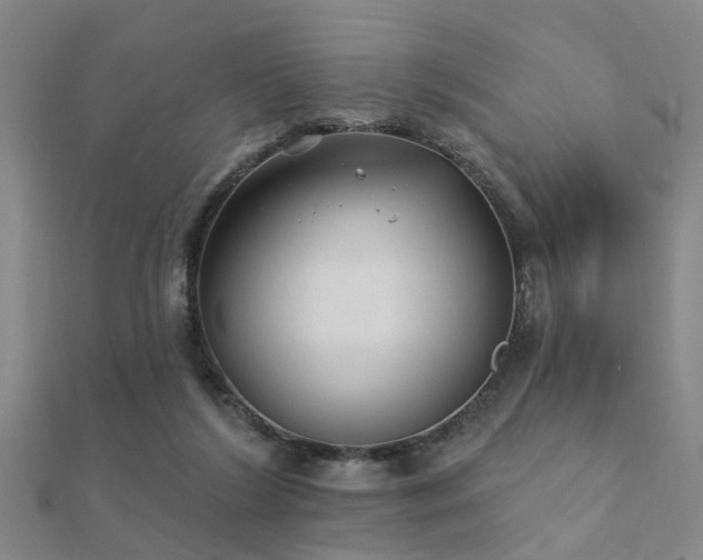 X0000112360212200908131503