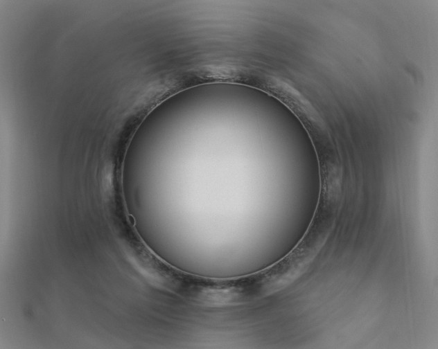 X0000112360213200908131503