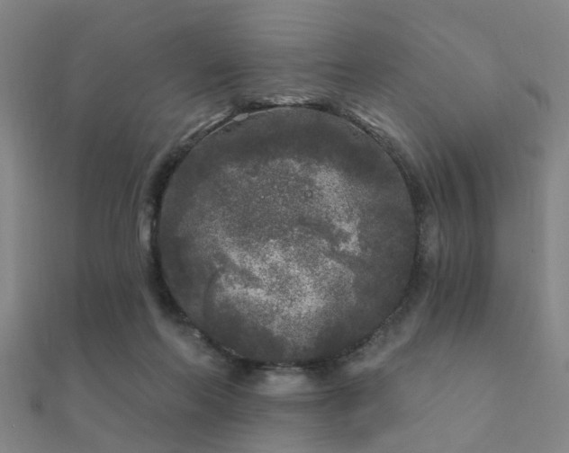 X0000112360214200908131503