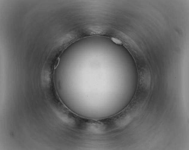 X0000112360215200908131503