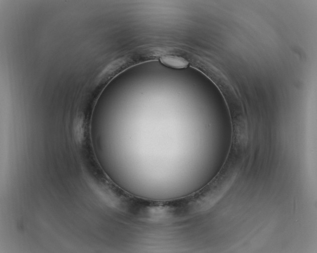 X0000112360216200908131503