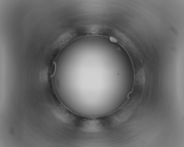 X0000112360217200908131503