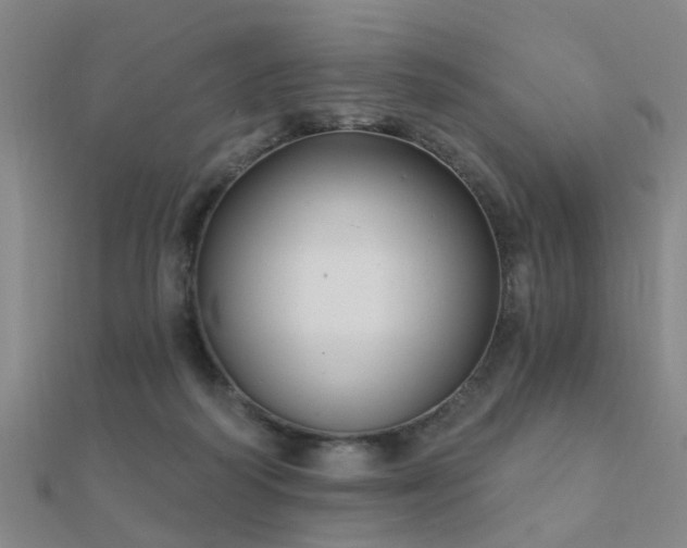 X0000112360218200908131503