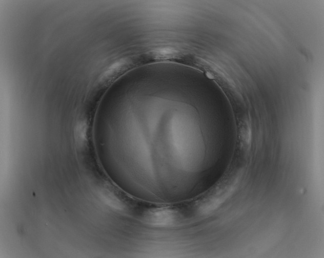X0000112360219200908131503