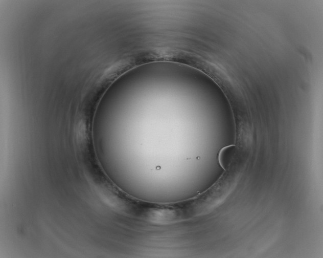 X0000112360220200908131503