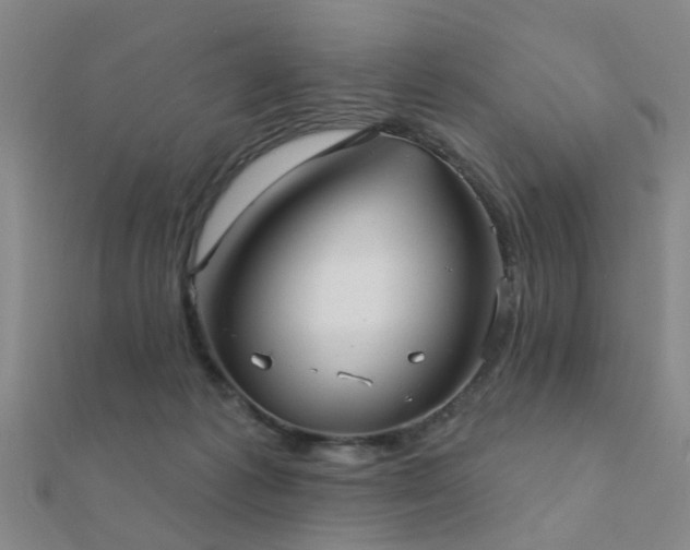 X0000112360221200908131503
