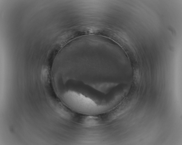X0000112360222200908131503