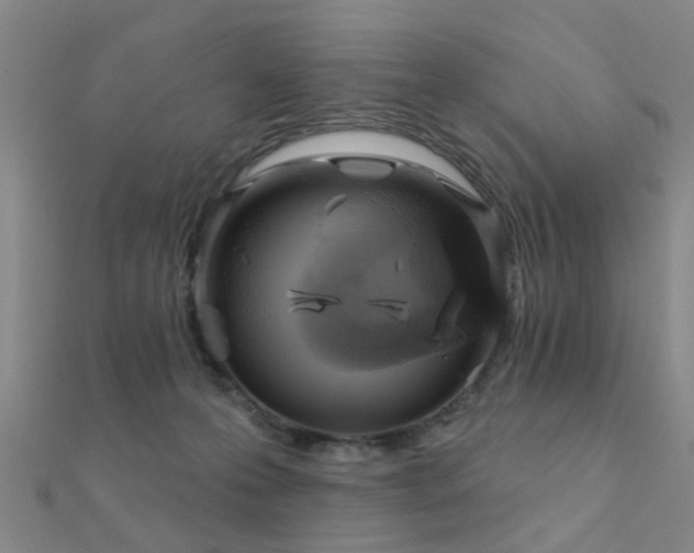 X0000112360223200908131503
