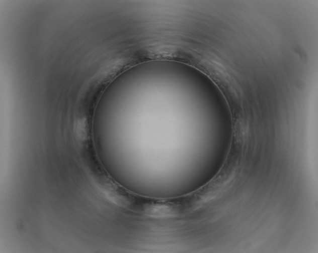 X0000112360224200908131503