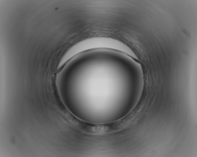 X0000112360225200908131503
