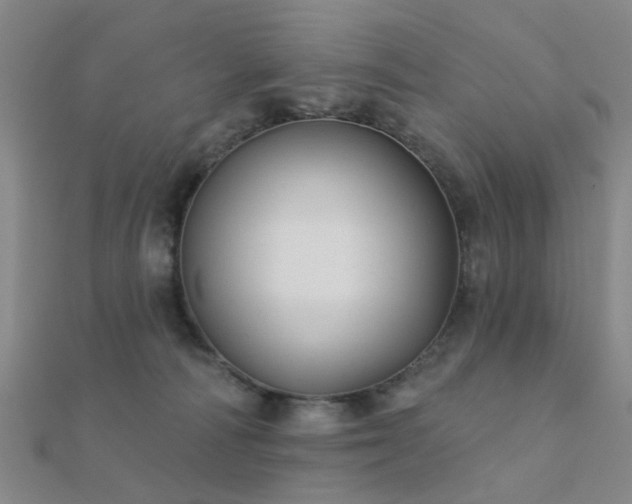 X0000112360226200908131503