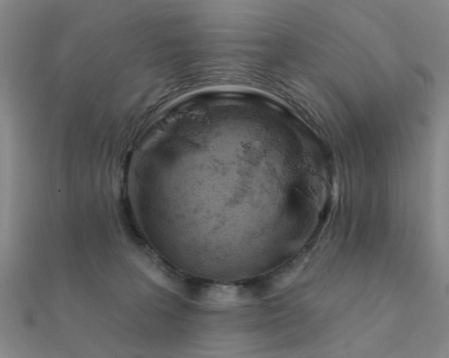 X0000112360227200908131503