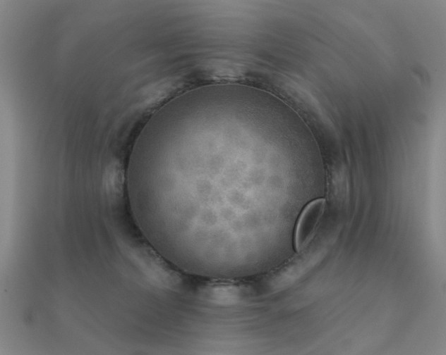 X0000112360228200908131503