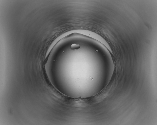 X0000112360229200908131503