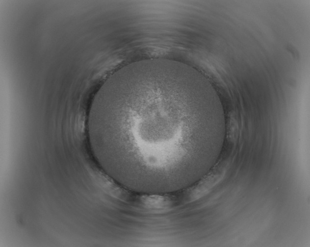 X0000112360230200908131503