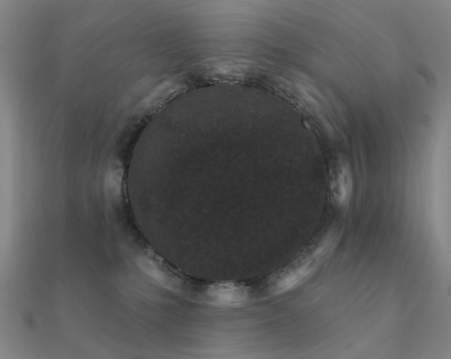 X0000112360231200908131503