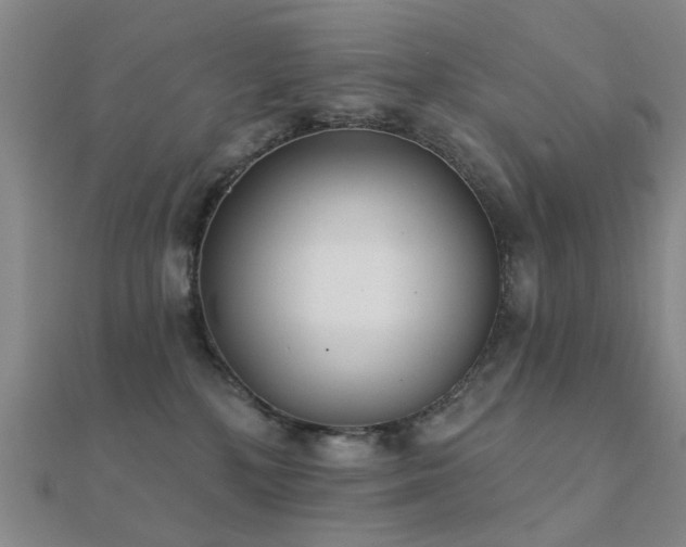 X0000112360232200908131503