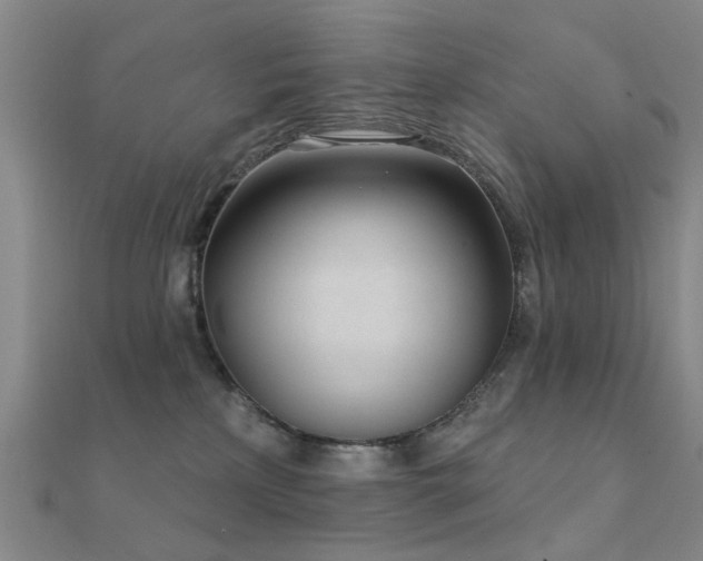 X0000112360233200908131503