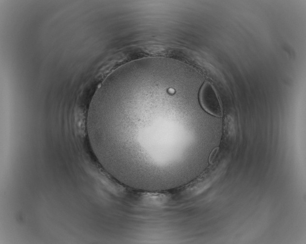 X0000112360234200908131503