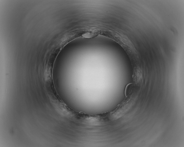 X0000112360236200908131502