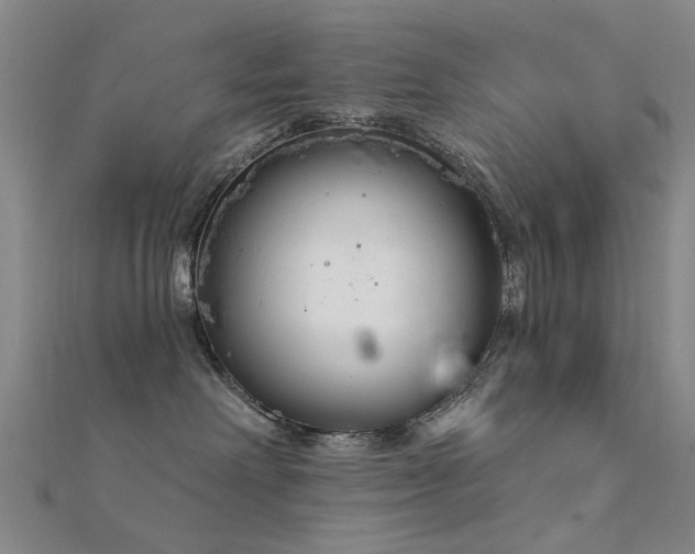 X0000112360238200908131502