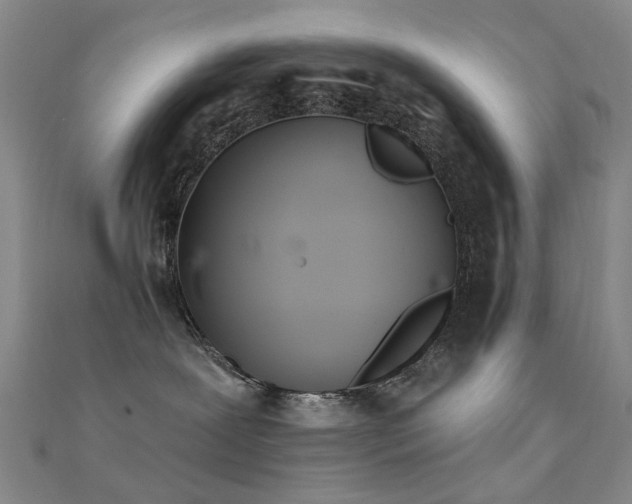 X0000112360239200908131502