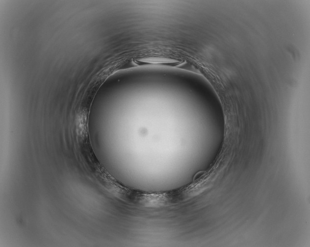 X0000112360240200908131502