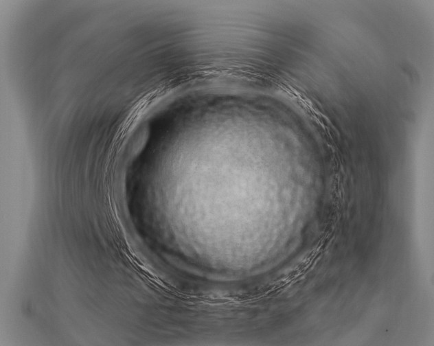 X0000112360241200908131502