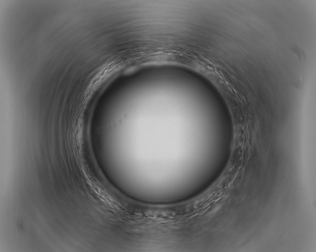 X0000112360242200908131502