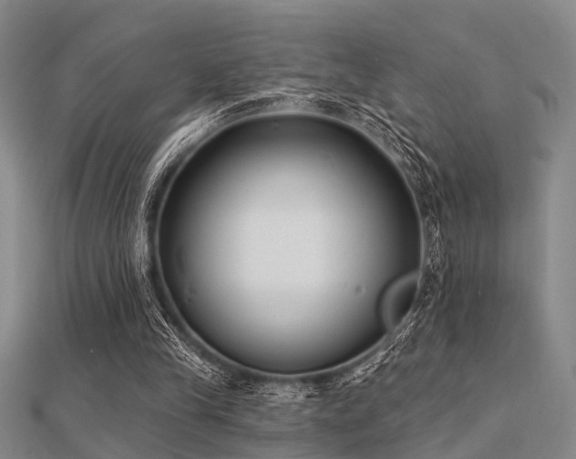 X0000112360245200908131502