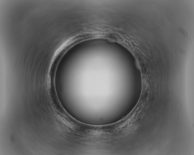 X0000112360246200908131502