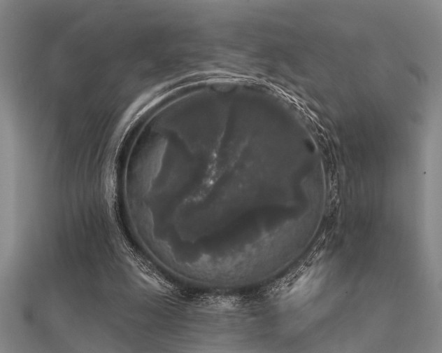 X0000112360247200908131502