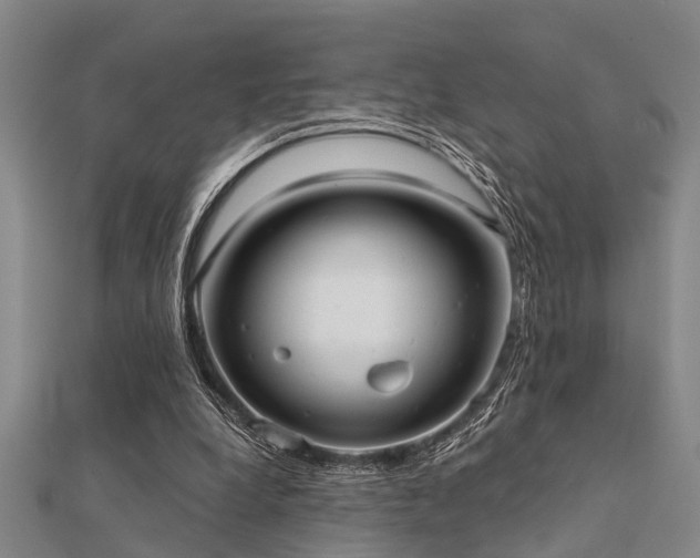 X0000112360248200908131502