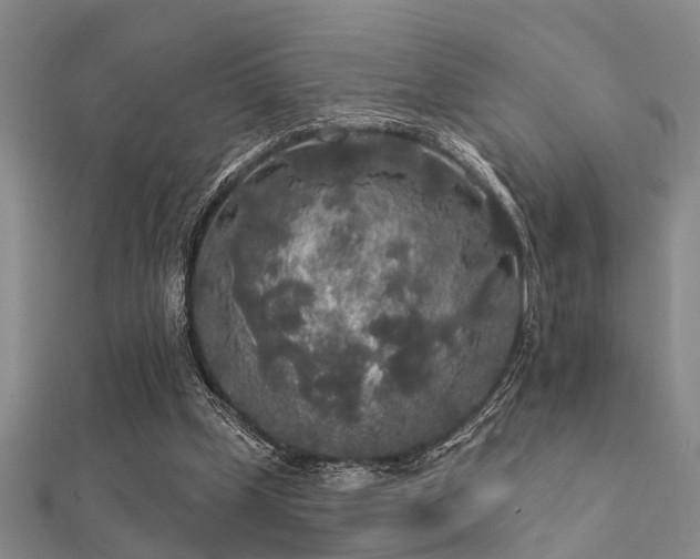 X0000112360249200908131502