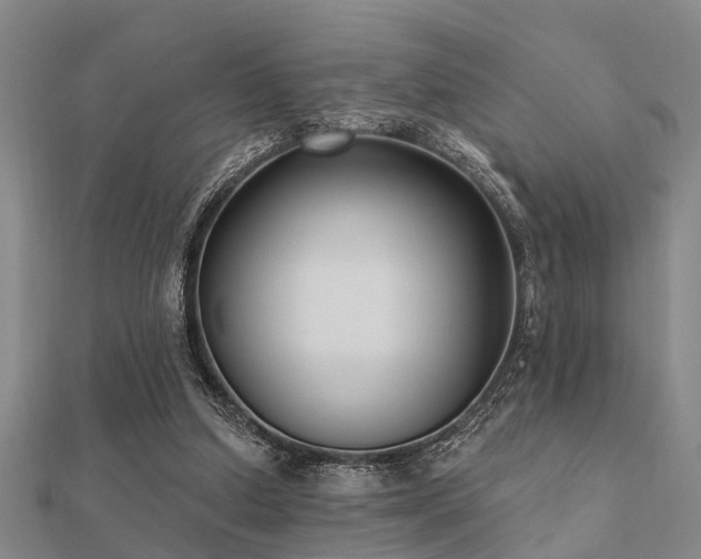 X0000112360250200908131502