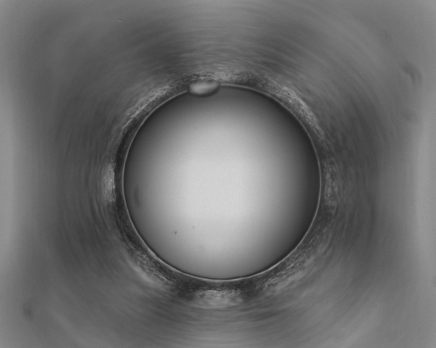 X0000112360251200908131502